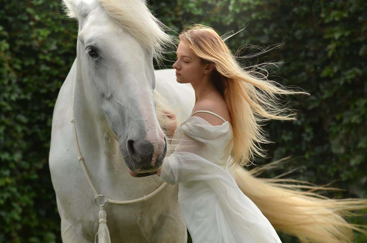Las 20 razas de caballos más bellas del mundo - nature